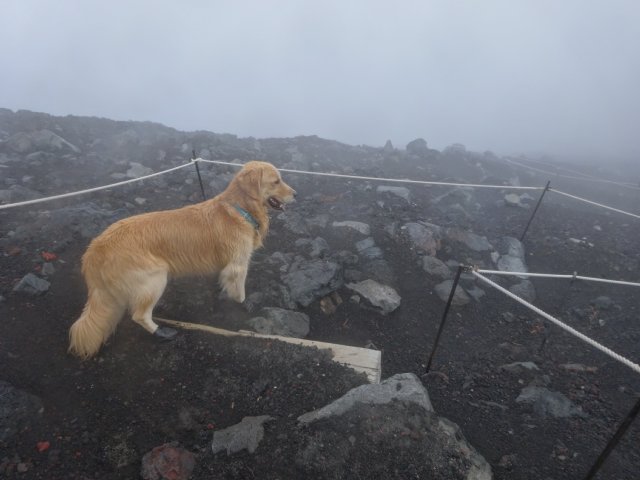 富士山　須走口　犬登山　2015-10-16 249
