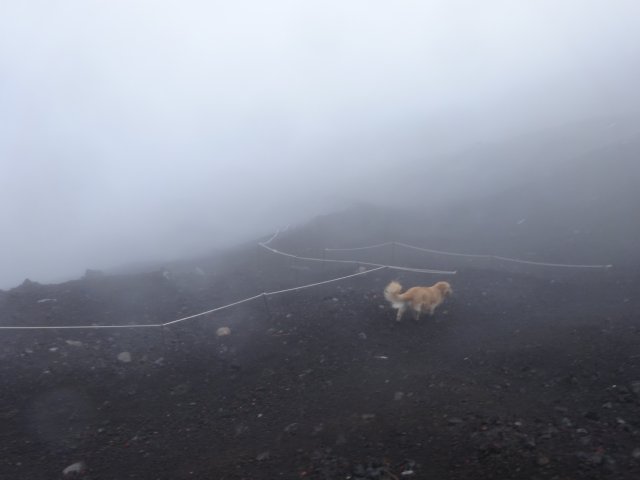 富士山　須走口　犬登山　2015-10-16 250