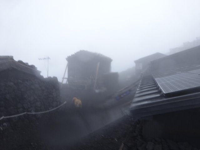 富士山　須走口　犬登山　2015-10-16 256