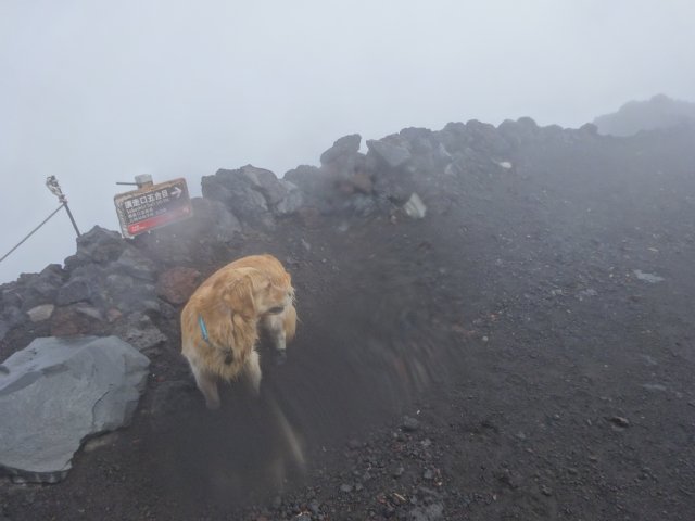 富士山　須走口　犬登山　2015-10-16 257