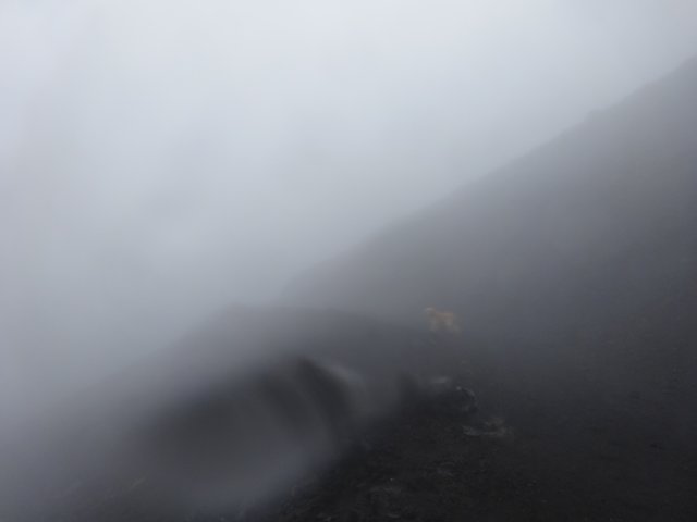 富士山　須走口　犬登山　2015-10-16 260