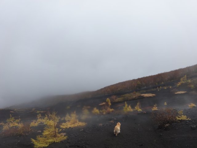 富士山　須走口　犬登山　2015-10-16 273