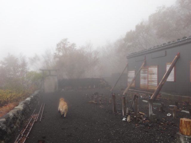 富士山　須走口　犬登山　2015-10-16 274