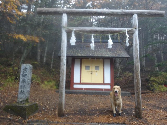 富士山　須走口　犬登山　2015-10-16 279