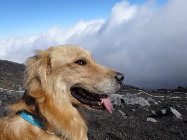 富士山　須走口　犬登山　2015-10-16 220