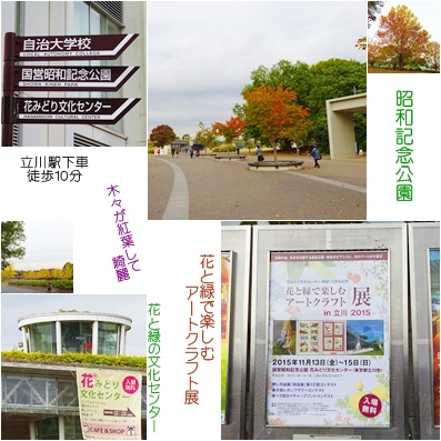 2015　11　昭和記念公園1