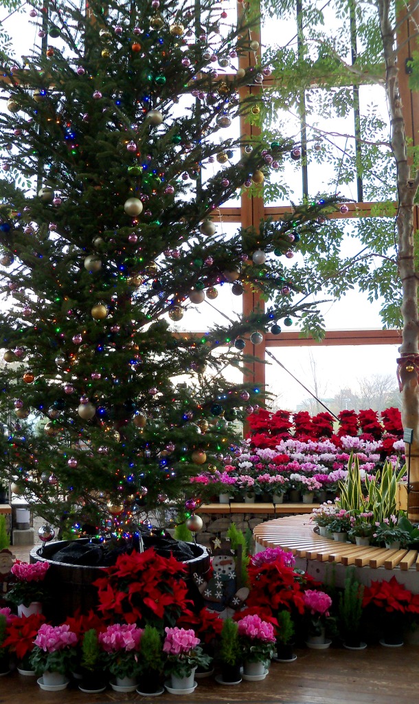 花育センターのクリスマス